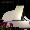 Relajante Música de Piano Oasis、Piano para Relajarse、Piano Relajación - Sonidos de Libertad
