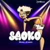 ZemMusic、Dilema、Drossan - Saoco (feat. Dilema & Drossan)
