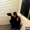 Aylekx - Cork (Explicit)