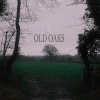 john morris - Old Oaks (Acoustic)