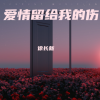 徐长新 - 爱情就像梦一场