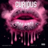 Shortyo、Ray J - Curious (Explicit)