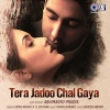 Sonu Nigam、K. S. Chithra、Abhimanyu-Pragya - Tera Jadoo Chal Gaya (Lofi Mix)