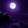 SKYPLAYA - Moonlight