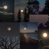 Yaqma - Moon