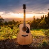 Tranquilo Musica Relajante de Guitarra、Cazadores de zoológicos、Colectivo de sonidos de la naturaleza y la selva tropical - Cuerdas Atemporales