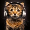 Lofi Sleep、Cat Ambience、Cats Music Zone - A Cat’s Comfort Sound