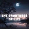Cha Se-Eun、Harmony Touch、Dozy Sounds - From the Thoughts Within