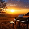 Binaural Beats Brainwave System、Relax & Music Orchestra、Relax Music Studio - Harmonies of Calm Piano