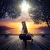 Binaural Nature Sounds Relaxing、Yoga Sound Comfort、Yoga Rest Music - Flowing Piano Harmony
