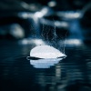 Blanke、Cadmium、Ben Provencial - Above the Water