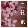 留韵钢琴、留韻鋼琴 - 愁