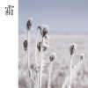 键与弦、鍵與弦 - 不悔 (西塔琴)