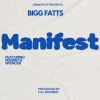 Bigg Fatts、Ronnetta Spencer - Manifest (feat. Ronnetta Spencer)