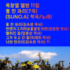 SUNO - 꽃 진 자리