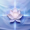El brío de la meditación、Mente en Calma Meditativa、Espíritu en Paz Meditativo - Cuerdas De Pura Claridad