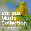 Kei - Sustainability