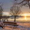 Acoustic Instrumental Vibes - Wilted Winter