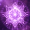 Chakra Meditation Universe - Sacral Awakening
