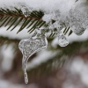 Acoustic Instrumental Vibes - The Last Snow