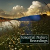Essential Nature Sounds - Untouched Monotonous