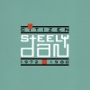 Steely Dan - Do It Again