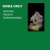 Moka Only - DADADOO (Instrumental)