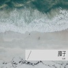 赵顺 - 种子