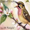 Daniel Dale - SING LITTLE MOCKINGBIRD