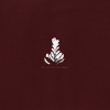 Athletics - I
