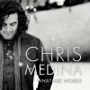 Chris Medina - Don't Say Goodbye