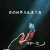 守护一生 - 你的世界从此没了我
