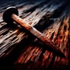 Selikal - The Burden