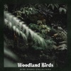 Bird Sound Collectors - Chirrups Summer