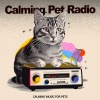 Calming Music For Pets - Chocolate Owner
