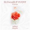 DJ Cocodil、FLYJNT - Pristine