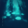 Headphone Activist - noctiluca
