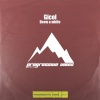 Gicol - Been a while (Extended Mix)