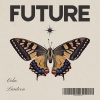 Echo Lantern - Future