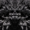Jahdruh - Winter (Explicit)