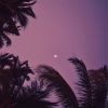grade、venny - casino