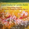 Laurel Zucker、Carolyn Keyes - I. Vivace