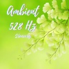 Simurg - Well 528hz