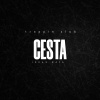 Ideas - CESTA (feat. BAYA)(Explicit)