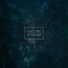 Rain Recorders - Rain Symphony