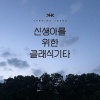 양하영 (Yang Hayeong) - 꽃잎