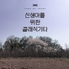 양하영 (Yang Hayeong) - 웃음