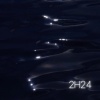 Soly - 2h24