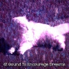 Sleep Baby Sleep - Dream Journal