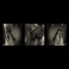 ANDRA AVANTGARDE - Gestación